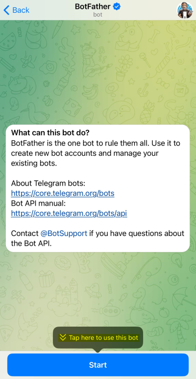 How to start a chat with BotFather