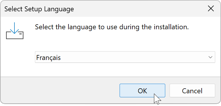 RdpGuard Setup language selection