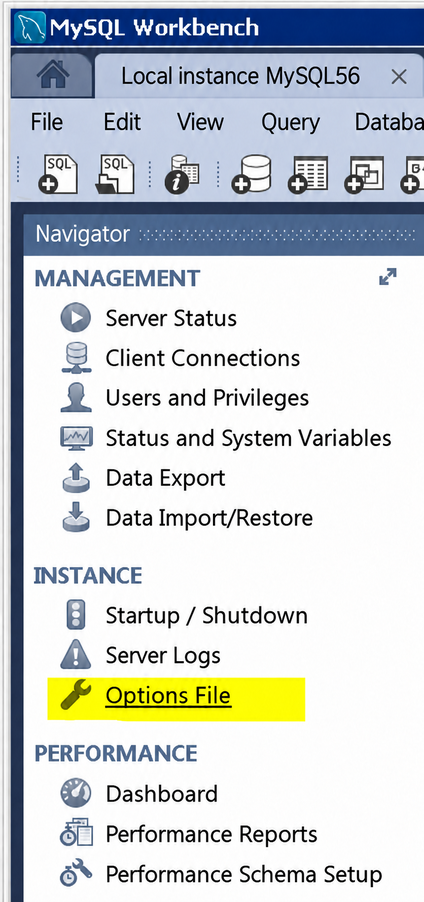 MySQL-Workbench-Navigator mit hervorgehobenem Options File unter Instance